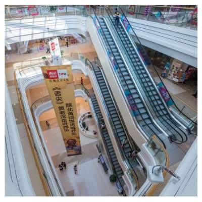 low cost escalator&escalator parts for handrail lift